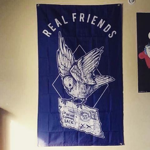 Make your walls look pretty sick with this pretty sick flag. Free button and sticker with your order. | realfriendsmerch.com